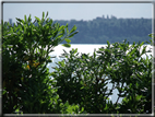 foto Lago Trasimeno